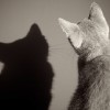 20080608_043.jpg